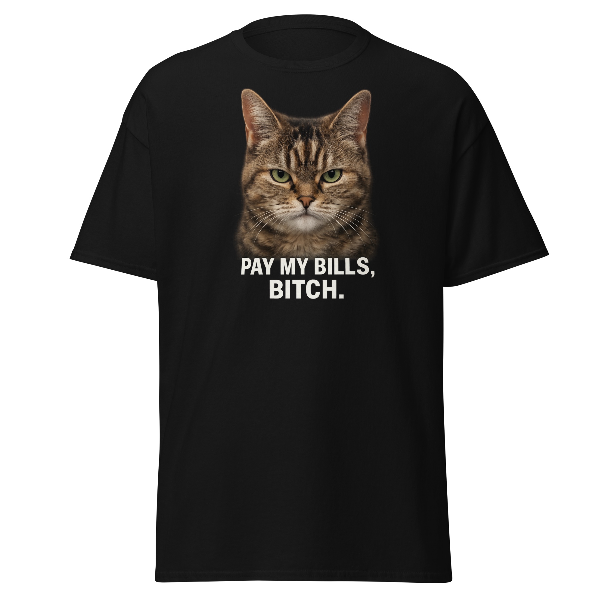 A Light and Tragic Love Story merchandise